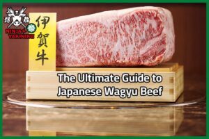 Japanese Wagyu Beef