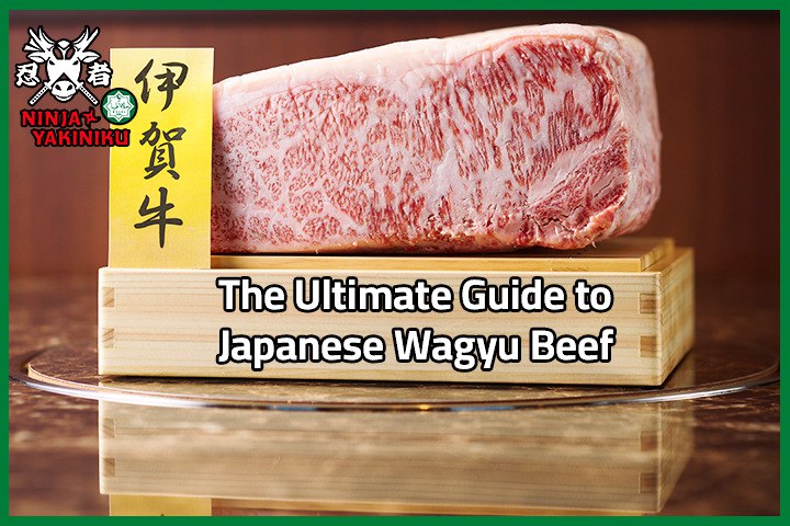 Japanese Wagyu Beef