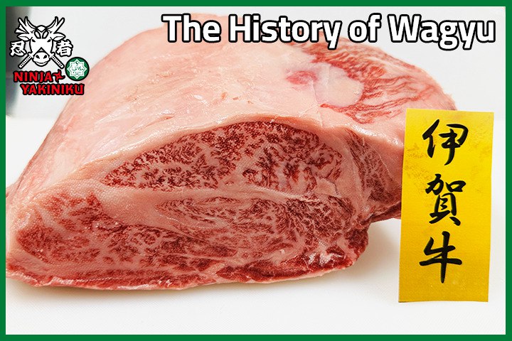 Japanese Wagyu Beef