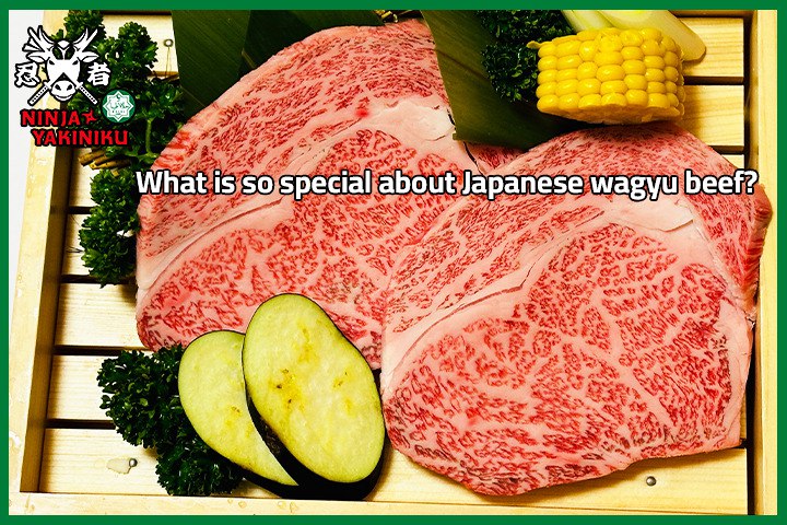 Japanese Wagyu Beef