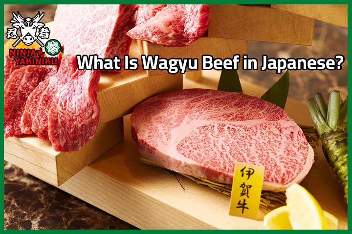 Japanese Wagyu Beef