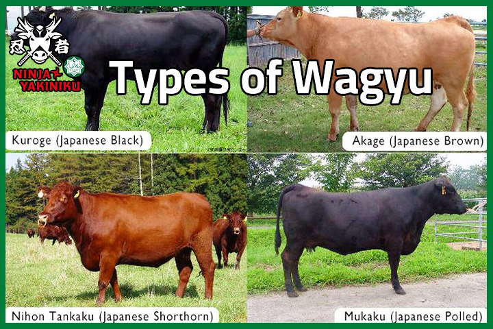 Japanese Wagyu Beef